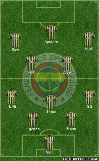 Fenerbahçe SK Formation 2013