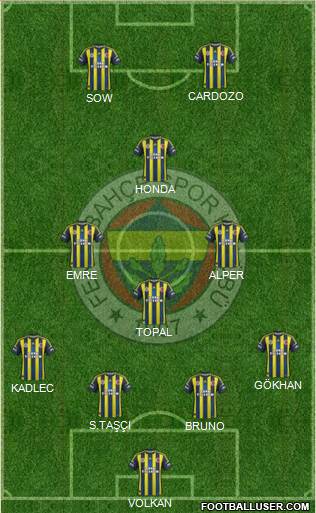 Fenerbahçe SK Formation 2013
