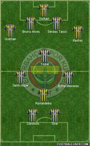 Fenerbahçe SK Formation 2013