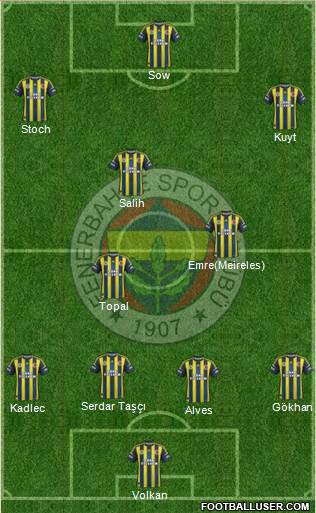 Fenerbahçe SK Formation 2013