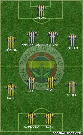 Fenerbahçe SK Formation 2013
