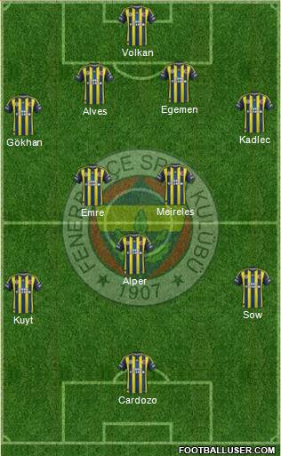 Fenerbahçe SK Formation 2013