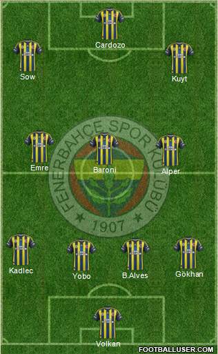Fenerbahçe SK Formation 2013