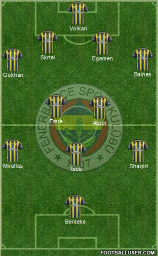 Fenerbahçe SK Formation 2013