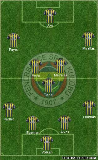 Fenerbahçe SK Formation 2013
