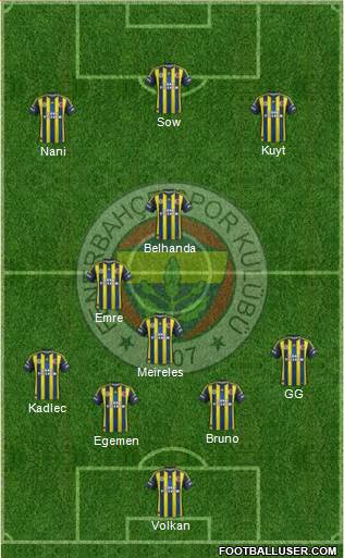 Fenerbahçe SK Formation 2013