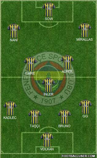 Fenerbahçe SK Formation 2013