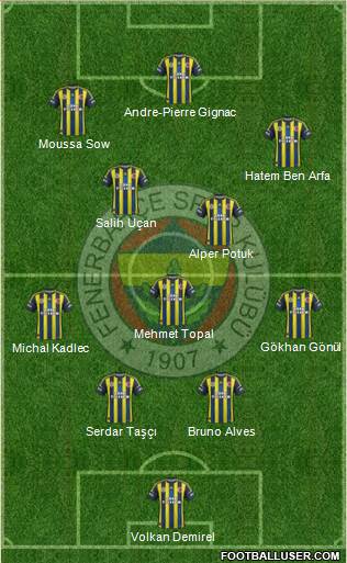 Fenerbahçe SK Formation 2013