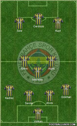 Fenerbahçe SK Formation 2013