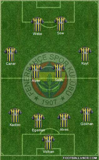 Fenerbahçe SK Formation 2013