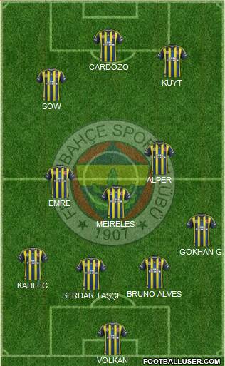 Fenerbahçe SK Formation 2013