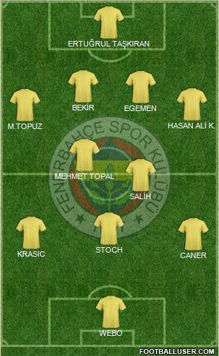 Fenerbahçe SK Formation 2013