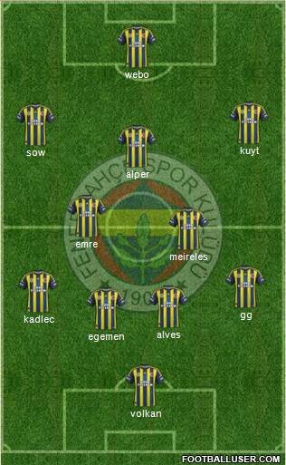 Fenerbahçe SK Formation 2013
