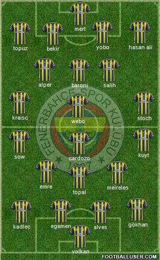 Fenerbahçe SK Formation 2013