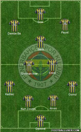 Fenerbahçe SK Formation 2013