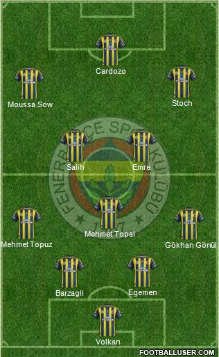 Fenerbahçe SK Formation 2013