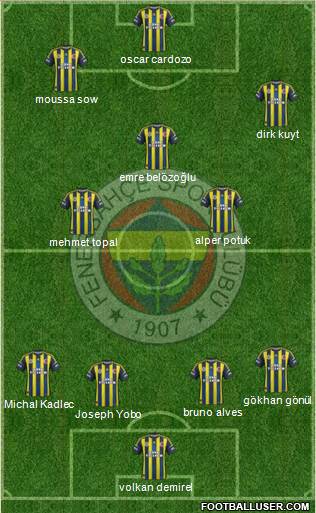 Fenerbahçe SK Formation 2013