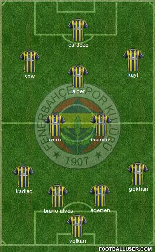Fenerbahçe SK Formation 2013