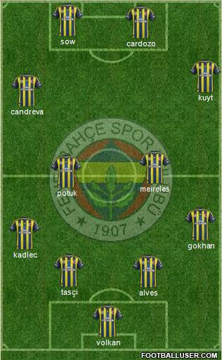 Fenerbahçe SK Formation 2013