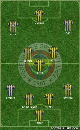 Fenerbahçe SK Formation 2013