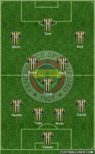 Fenerbahçe SK Formation 2013