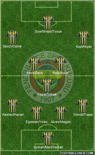Fenerbahçe SK Formation 2013