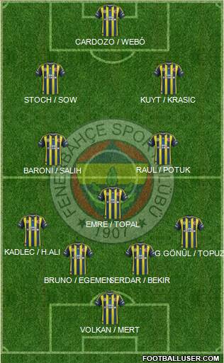 Fenerbahçe SK Formation 2013