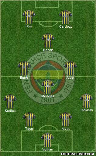 Fenerbahçe SK Formation 2013
