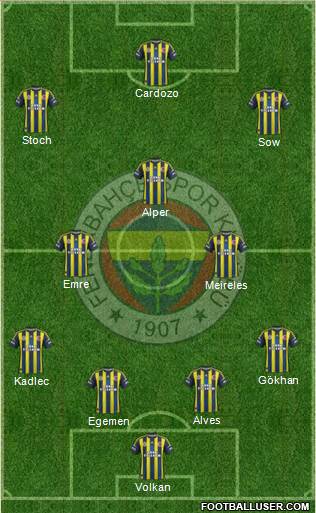 Fenerbahçe SK Formation 2013
