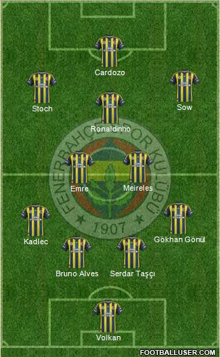 Fenerbahçe SK Formation 2013
