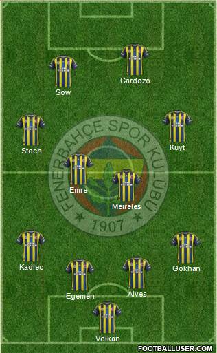 Fenerbahçe SK Formation 2013