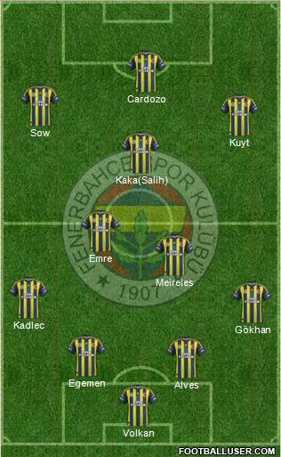 Fenerbahçe SK Formation 2013