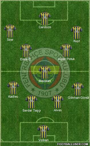 Fenerbahçe SK Formation 2013