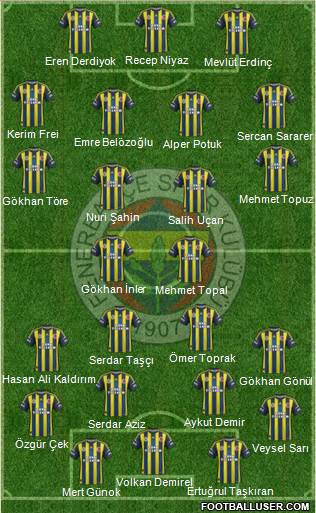 Fenerbahçe SK Formation 2013