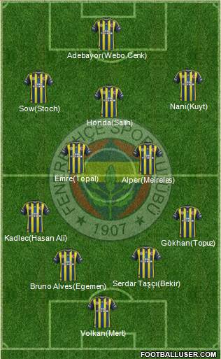 Fenerbahçe SK Formation 2013