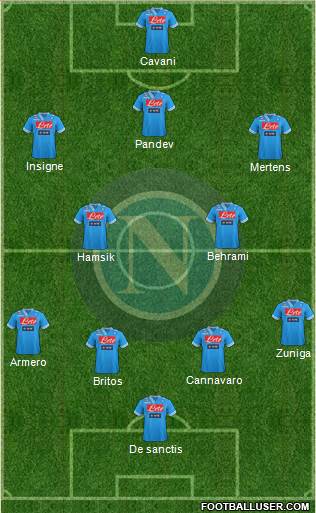Napoli Formation 2013