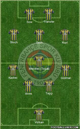 Fenerbahçe SK Formation 2013