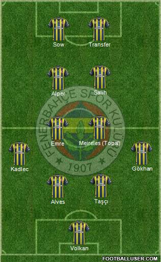Fenerbahçe SK Formation 2013