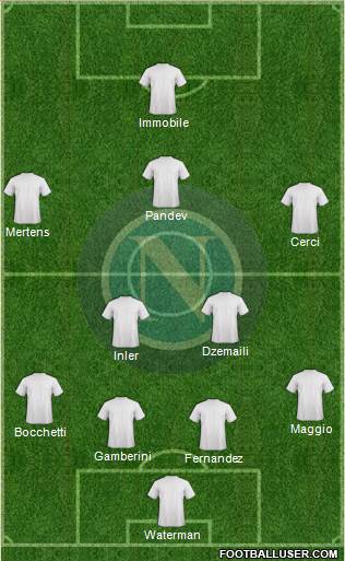 Napoli Formation 2013