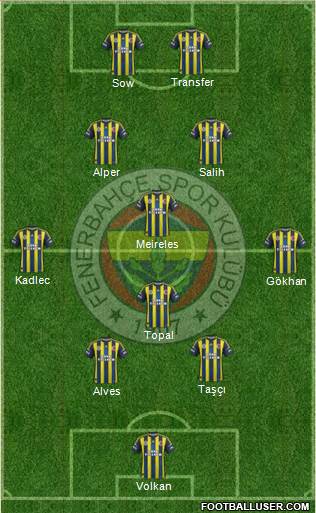 Fenerbahçe SK Formation 2013