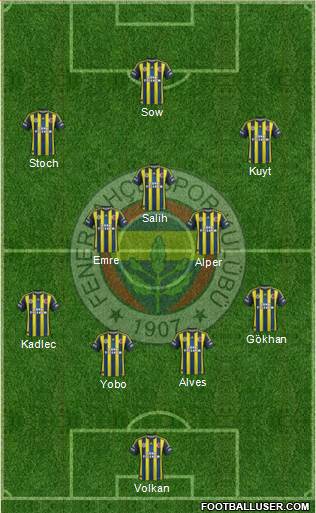Fenerbahçe SK Formation 2013
