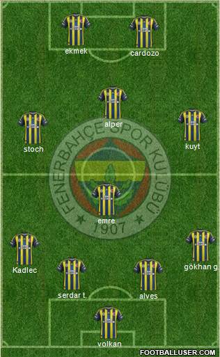Fenerbahçe SK Formation 2013