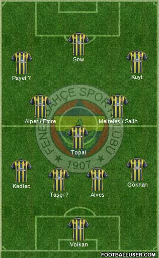 Fenerbahçe SK Formation 2013