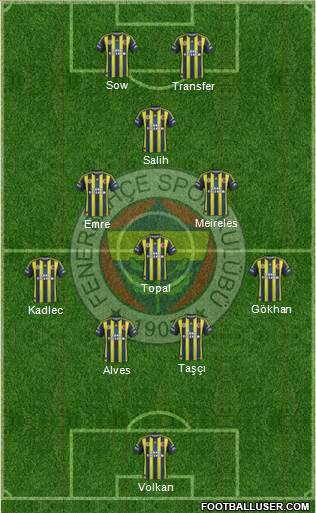 Fenerbahçe SK Formation 2013