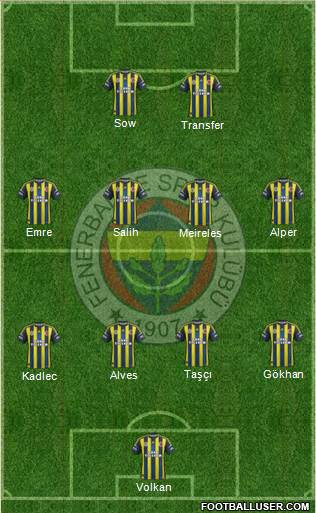 Fenerbahçe SK Formation 2013