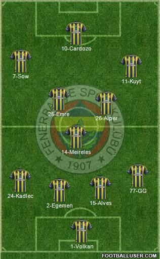 Fenerbahçe SK Formation 2013