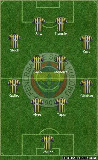 Fenerbahçe SK Formation 2013