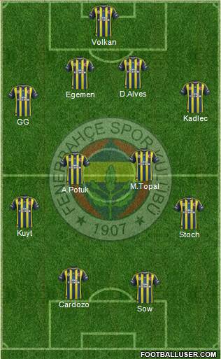 Fenerbahçe SK Formation 2013