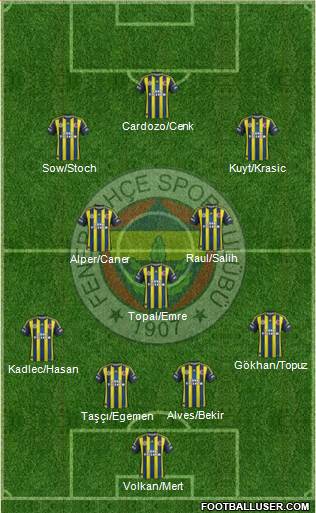 Fenerbahçe SK Formation 2013