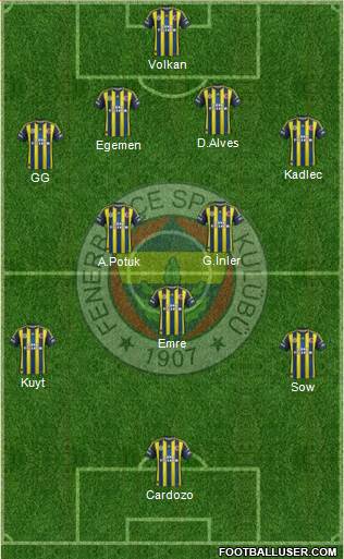 Fenerbahçe SK Formation 2013
